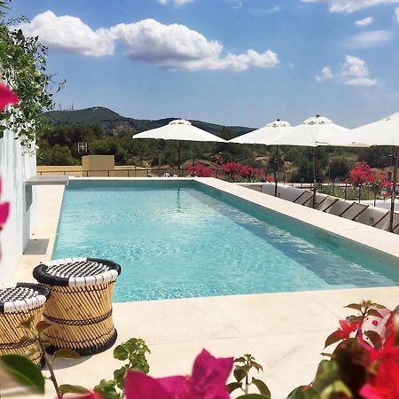 Gatzara Suites Santa Gertrudis Santa Gertrudis  Exterior photo
